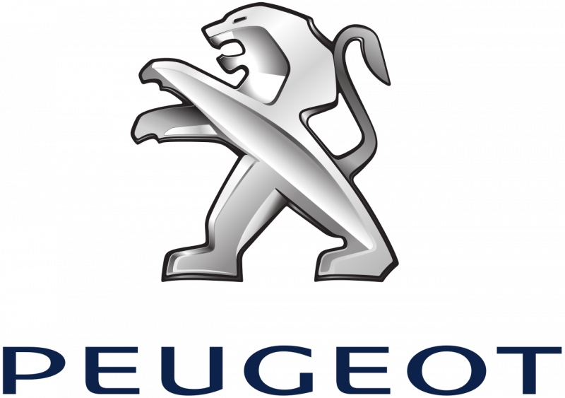 concession Peugeot partenaire barlerin imprimerie à Paris